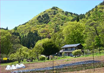 聖高原