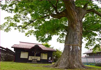 健速神社
