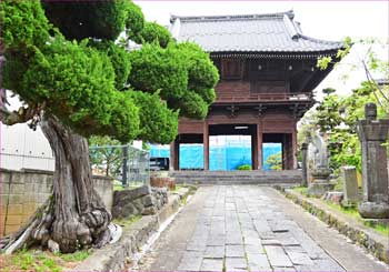 楼門
