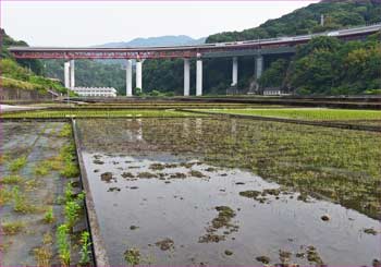 谷峨の田んぼ