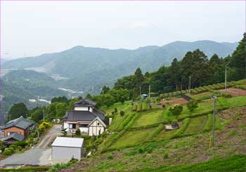 湯触の景