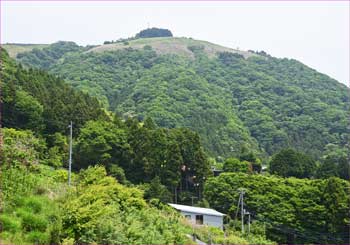 大野山