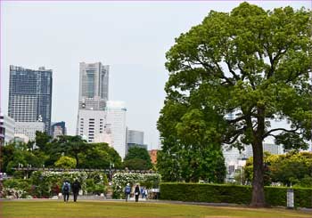 山下公園