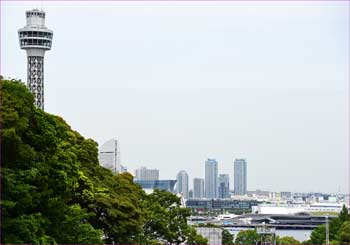 丘展望