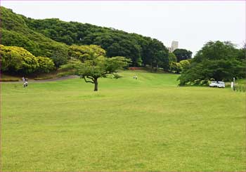 森林公園