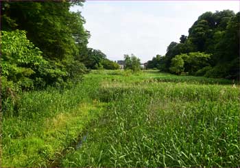 川名谷戸