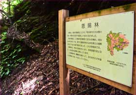 恩賜林