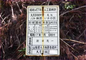 半世紀前の