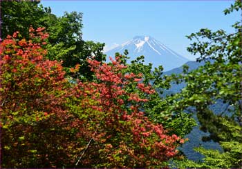 富士山が