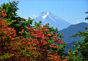 富士山