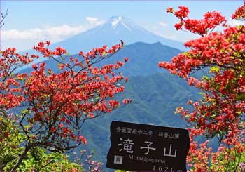 富士山