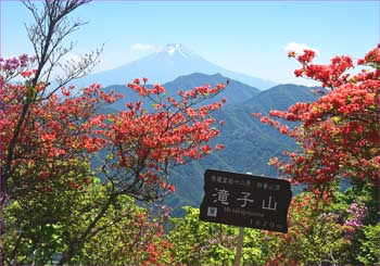 富士山