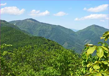 黒岳