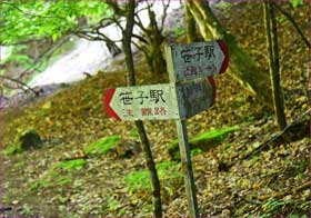 難路分岐