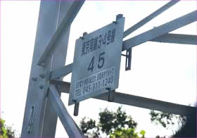 東京南線