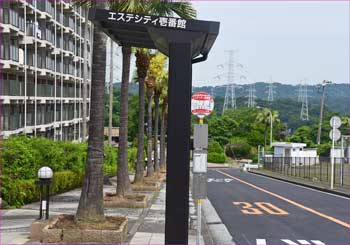 エステシティンション