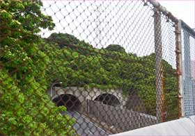 横横道路