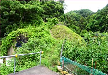 山へ