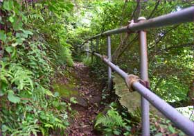 山道を