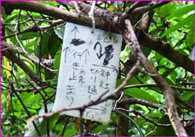 理解するには