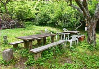 果樹園テーブル