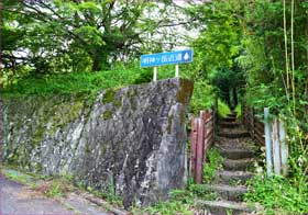 コース