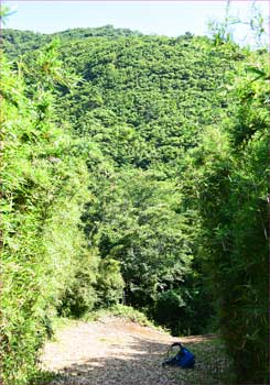 尾根道