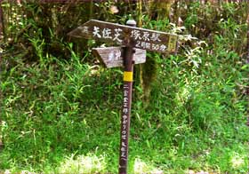 矢佐芝分岐