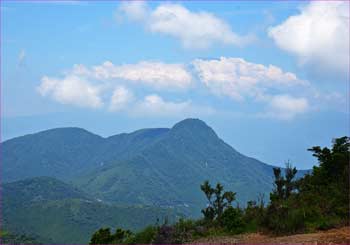 金時山