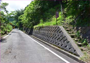 林道