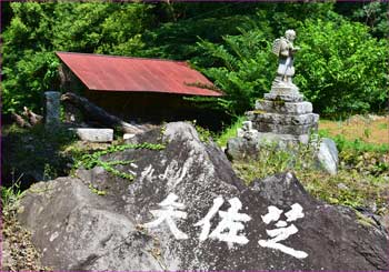矢佐芝