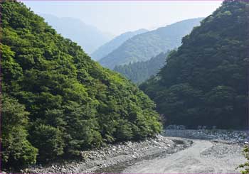 玄倉川へ