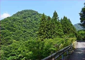玄倉林道