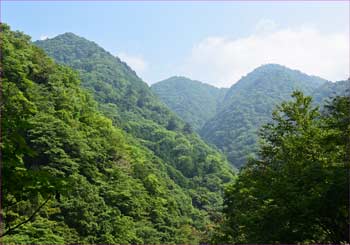 山波