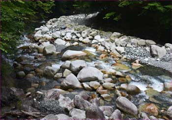 玄倉川