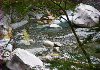 玄倉川
