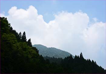 雲湧く