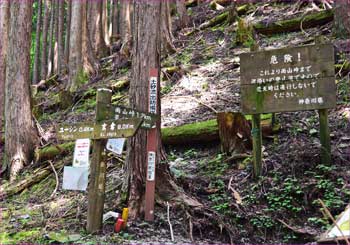 雨山峠へ