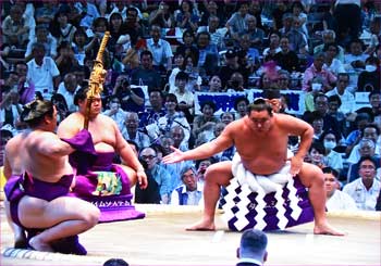 豊昇竜