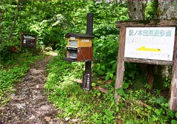 登山口