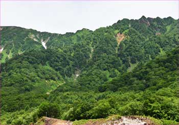鳴沢山稜