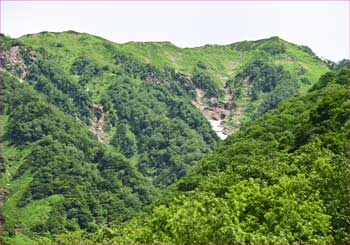 蓮華岳