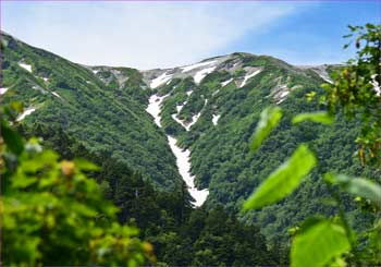 針ノ木雪渓