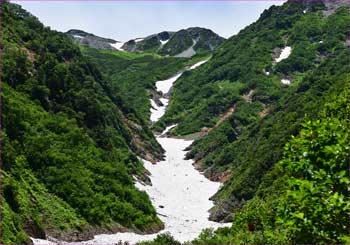 針ノ木雪渓