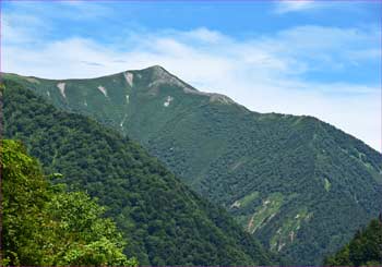 爺ヶ岳