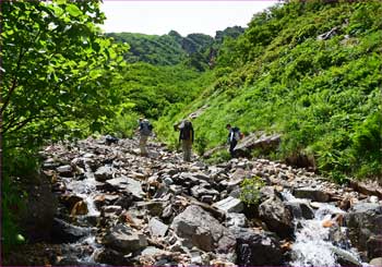 沢