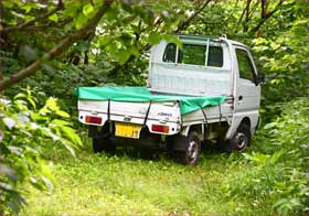 軽トラ