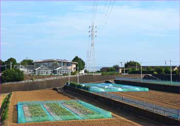 鉄塔