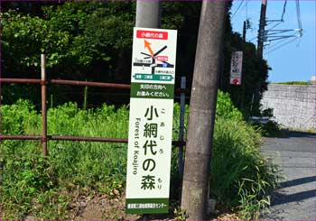 入口へ