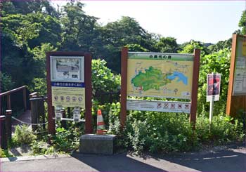 小網代の森入口